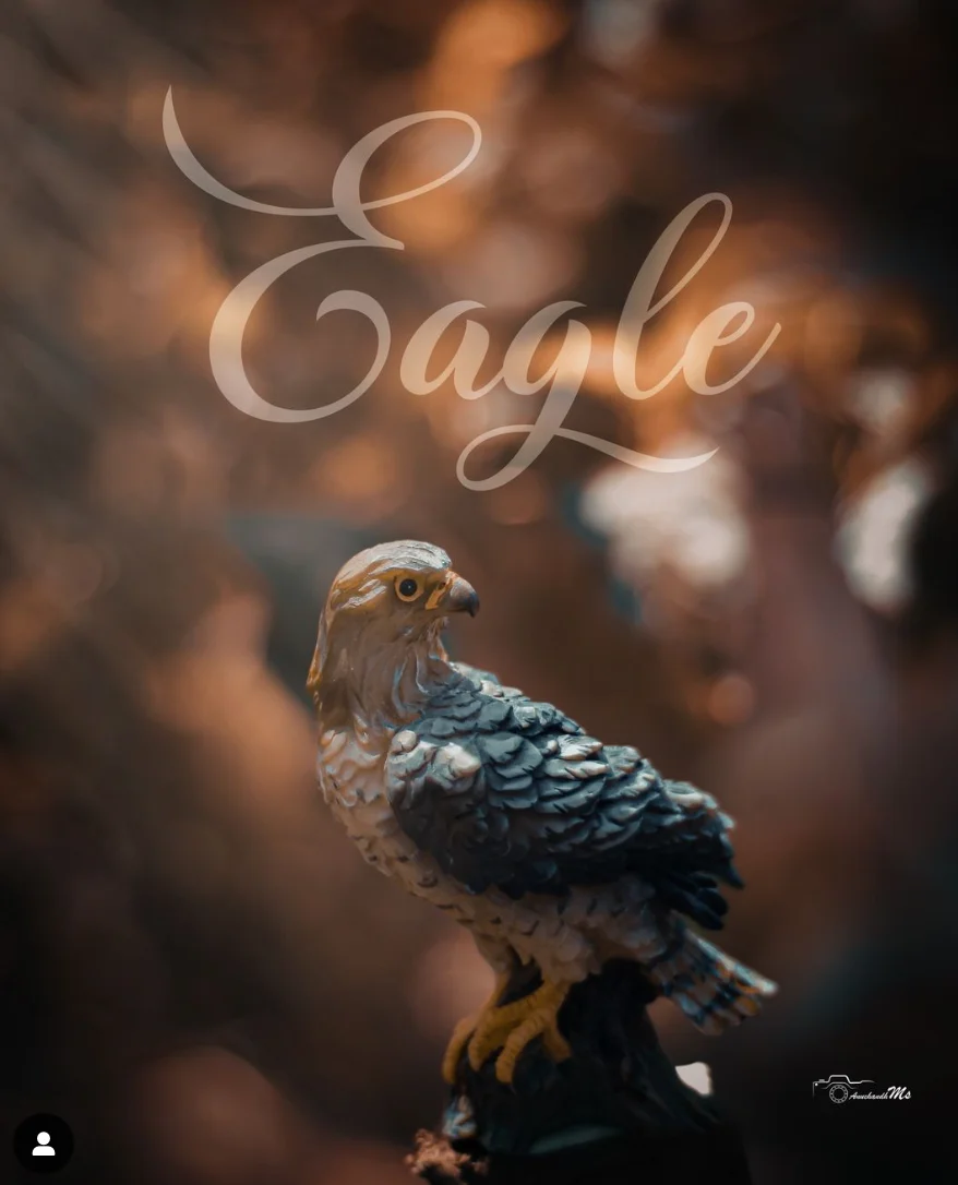 Eagle figurine photographed against a softly blurred background